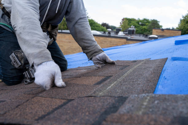 Fast & Reliable Emergency Roof Repairs in Semmes, AL